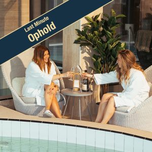 Veninder på spa hotel Jylland