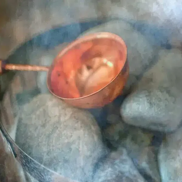 Saunagus_viking-e1643619601309