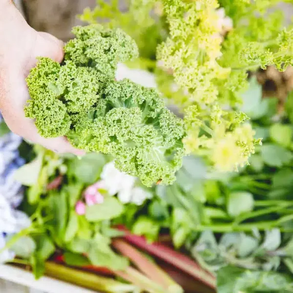 Friske råvarer fra egen køkkenhave