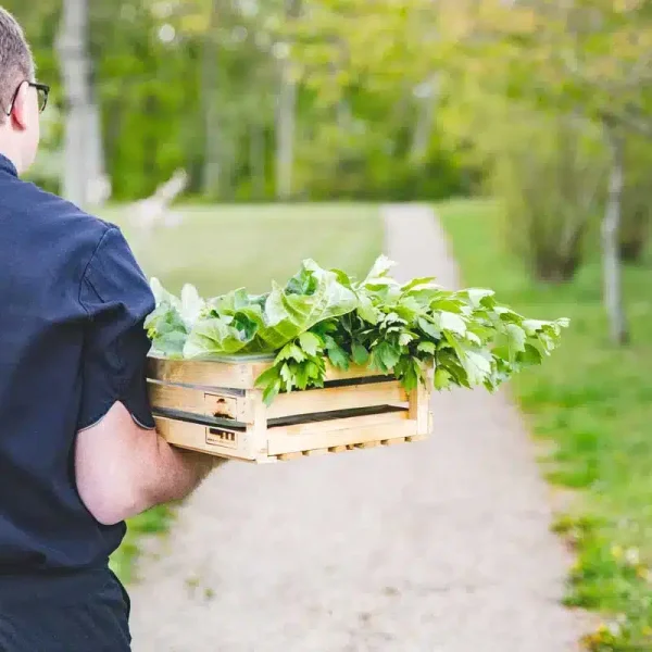 Friske råvarer på vej til restauranten