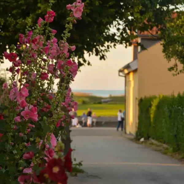 Hyggelig gade i Sæby i Nordjylland